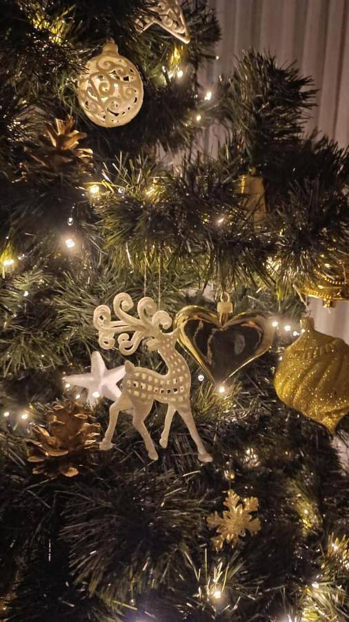 Hotel dla 3 osób, z widok na jezioro i sauna oraz taras i widok, zwierzęta dozwolone w Rybnik