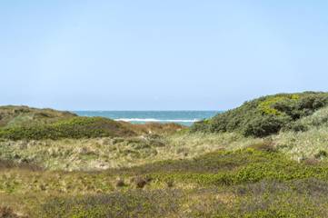 Ferieudlejning til 6 Personer i Løkken, Vesterhavet, Billede 2