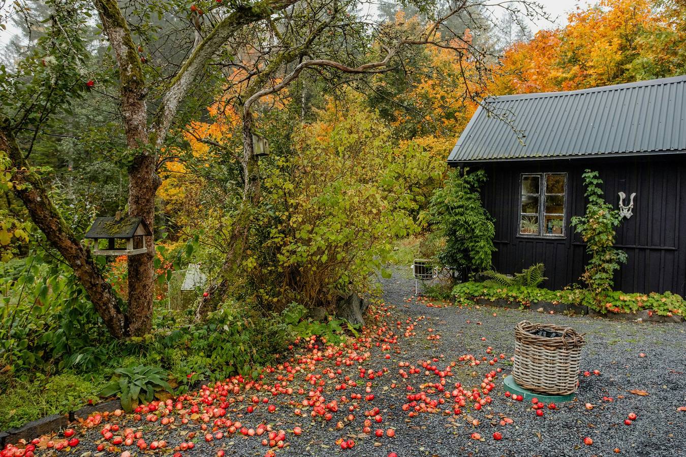 Svenska stenbrottet Guesthouse in Gylsboda, Osby och omgivningar