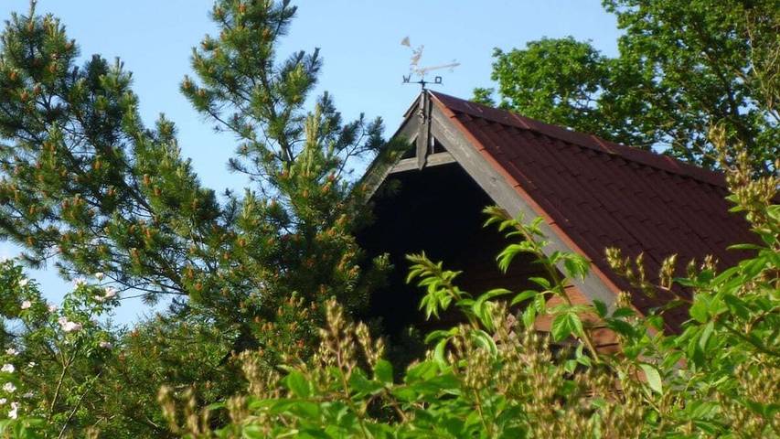 Ferienhaus für 3 Personen, mit Garten in Lüneburg und Umgebung - 4