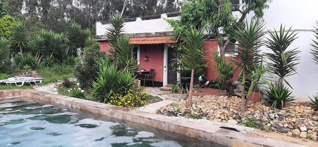 Gîte pour 4 personnes, avec jardin et piscine, animaux acceptés dans Pombal - 4