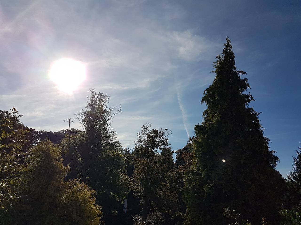 Ganze Ferienwohnung, Appartement/Fewo, Dusche, Wc, ruhig in Dippoldiswalde, Osterzgebirge