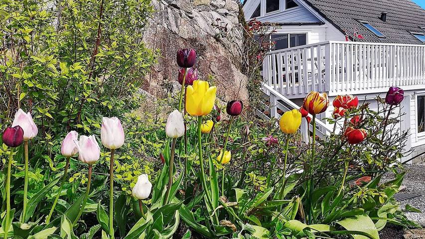 Ferienhaus für 9 Personen, mit Garten in Bømlo