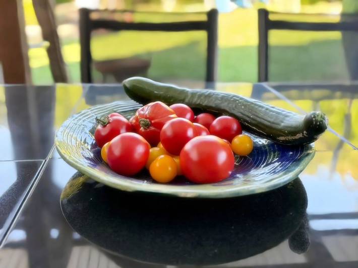 Ferienpark für 7 Personen, mit Garten und Terrasse, kinderfreundlich in Mecklenburgische Seenplatte - 4