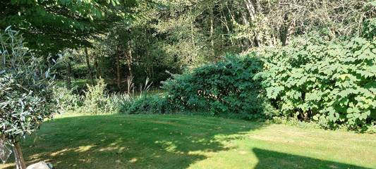 Ferienhaus für 4 Personen in Papenburg, Emsland, Bild 4