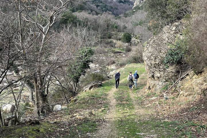 Gîte pour 2 personnes, animaux acceptés à Le Soulié - 4