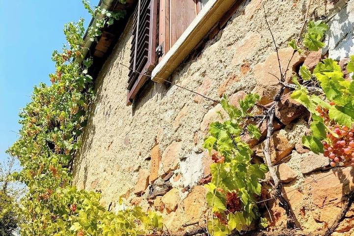 Location de vacances pour 4 personnes, avec terrasse à Andlau - 4