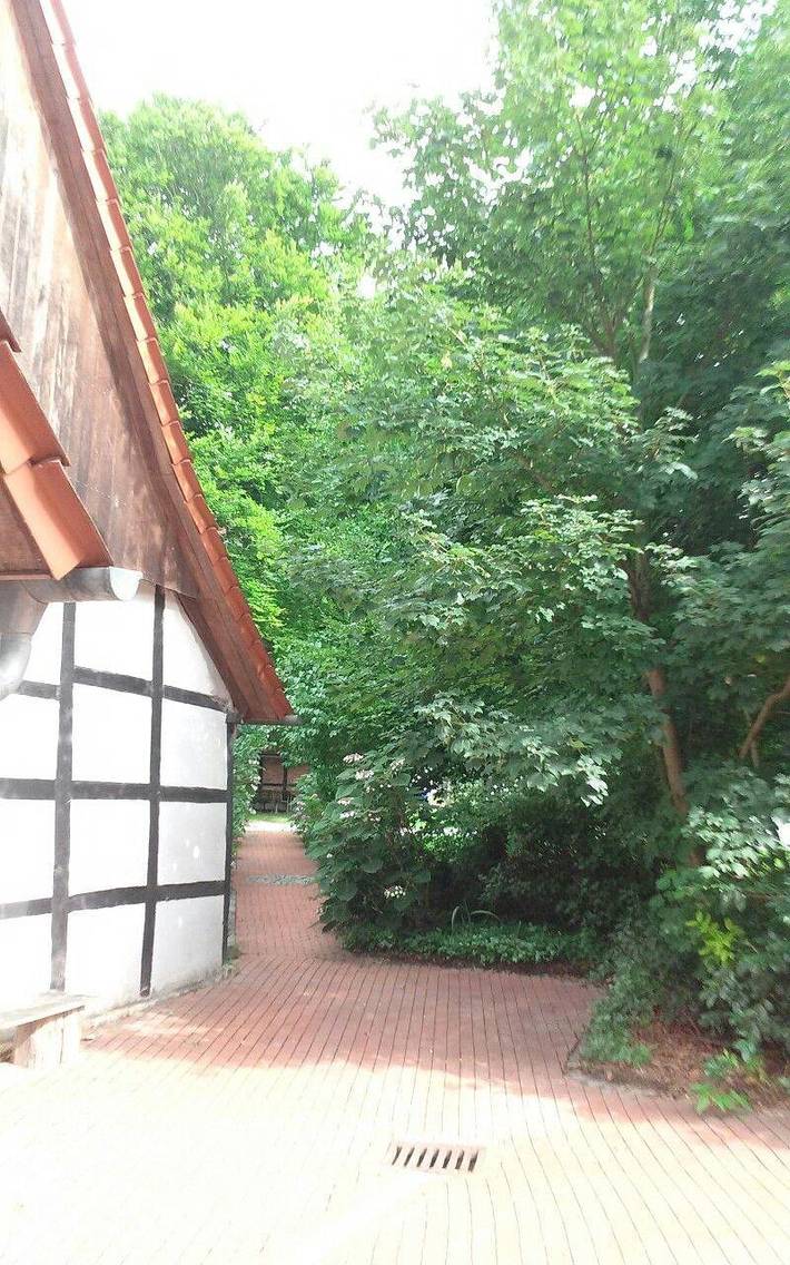 Ferienwohnung für 6 Personen, mit Terrasse, mit Haustier in Tecklenburg - 4