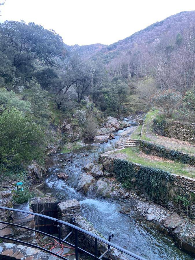 Location de vacances pour 2 personnes, avec piscine et vue ainsi que terrasse et jardin, animaux acceptés dans Val-d'Aigoual - 2