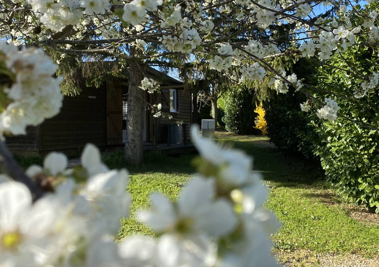 Chalets au bord de l’eau, proche d’Albi in Rivières, Région d'Albi