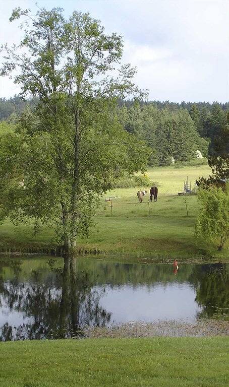 Vacation rental for 2 people, with yard and terrace in San Juan Islands