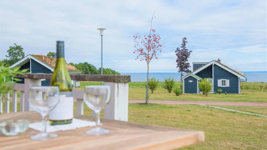 Ferienhaus für 6 Personen, mit Whirlpool und Sauna sowie Balkon und Garten in Sierksdorf