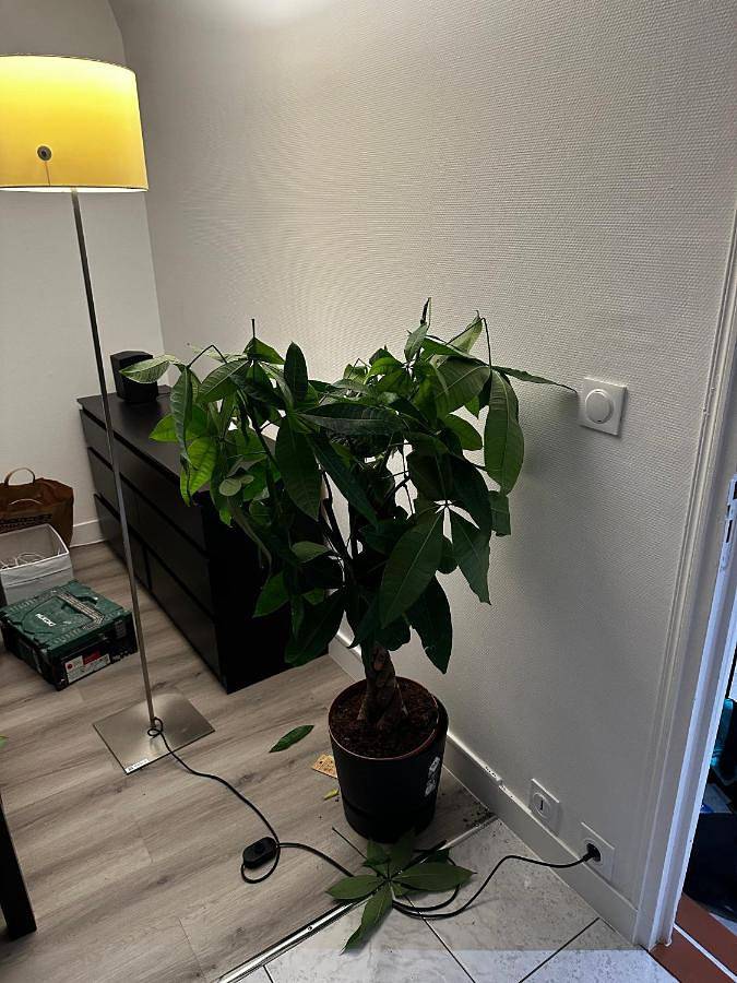 Gîte pour 2 personnes à Fontenay-sous-Bois - 3