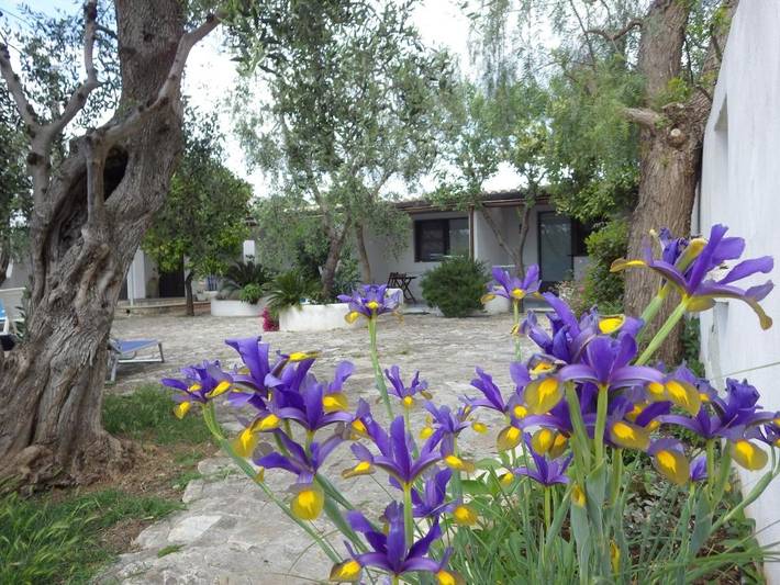 B&b per 2 persone, con Terrazza e Giardino nonché Panorama a Mattinata