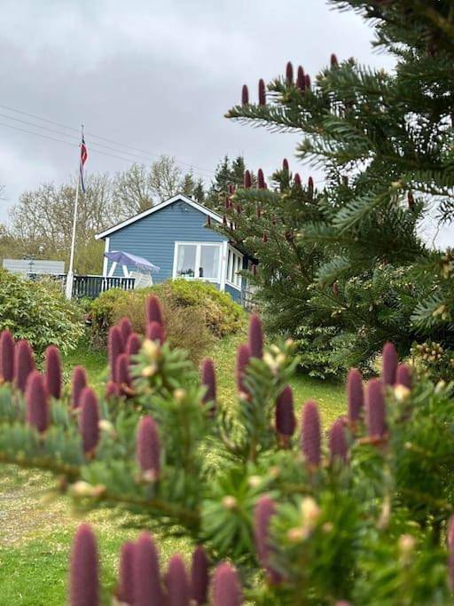 Ferienhaus für 4 Personen, mit Garten - 1