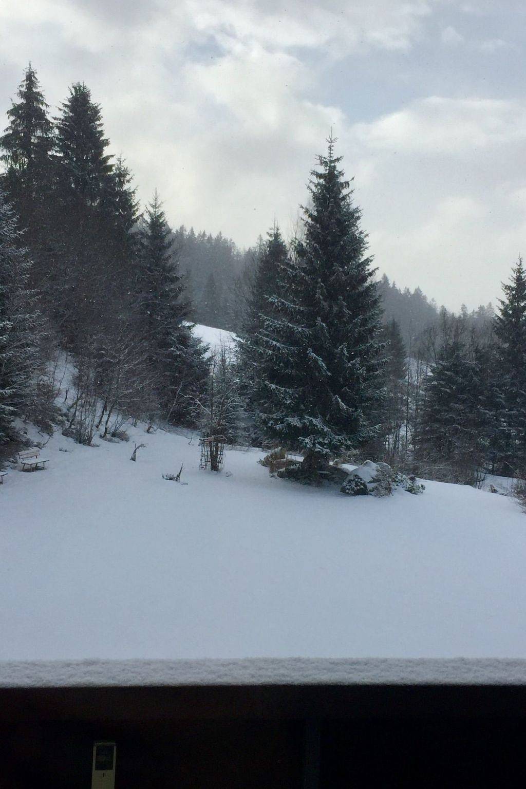 Ganze Wohnung, In Frauenberg mit Garten in Haidmühle, Ostbayern