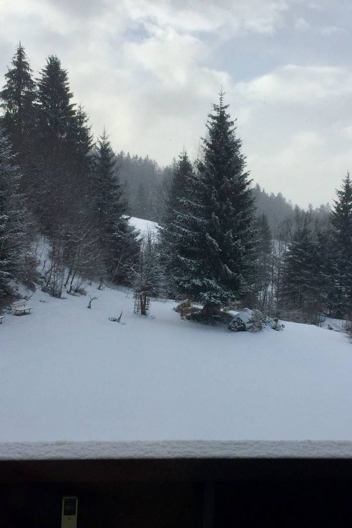 Apartamento inteiro, In Frauenberg mit Garten in Haidmuhle, Šumava Mountains