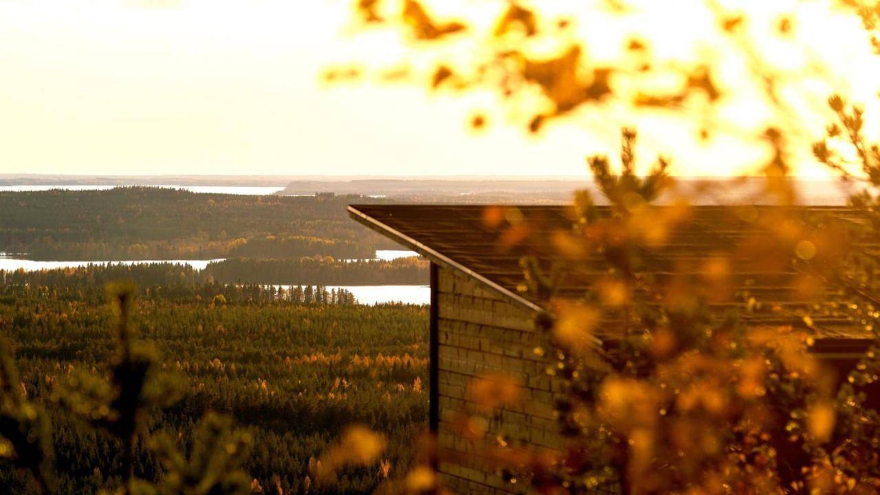 Arctic Giant in Paltamo, Kainuu