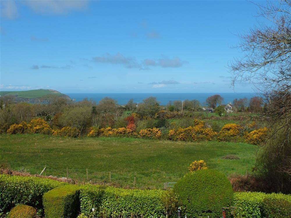 Blaenpant Bach in Newport (Pembrokeshire), Pembrokeshire