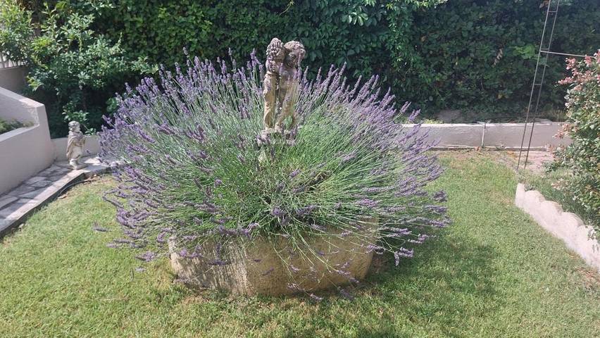 Gîte pour 2 personnes, avec jardin et vue, adapté aux familles à Teyran - 2