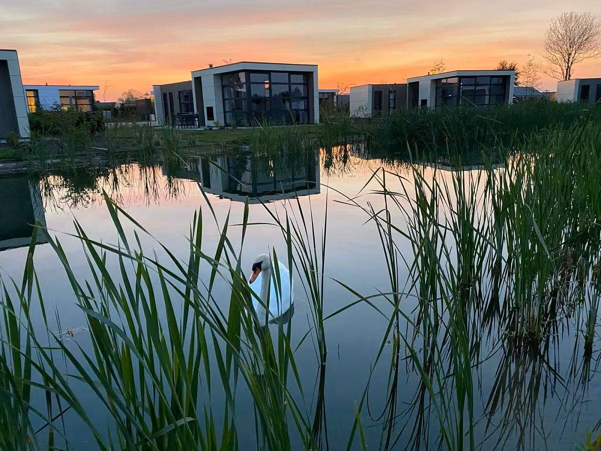 Eingebettet im Grünen: Chalet Sunnytides - Hier beginnt Ihr Urlaub in IJssel
