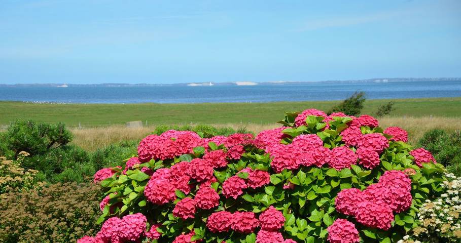 Ferienhaus für 6 Personen, mit Garten und Ausblick sowie Sauna in Sylt-Ost - 3