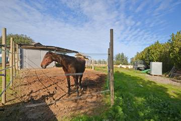 Finca in Sineu, Mallorca Inselmitte für 4 