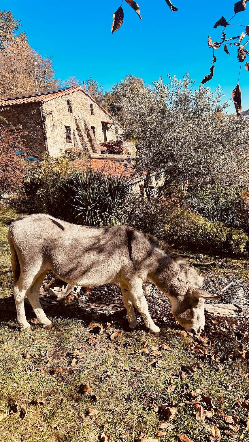 Villa 'Le Grand Mas De Can Noy' avec piscine privée, terrasse privée et Wi-Fi in Montferrer, Région de Céret