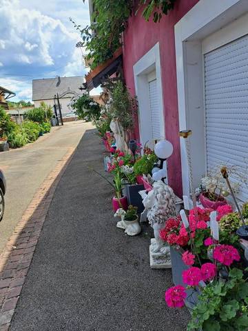 Gîte pour 5 personnes, avec jardin ainsi que jacuzzi et sauna à Westhalten