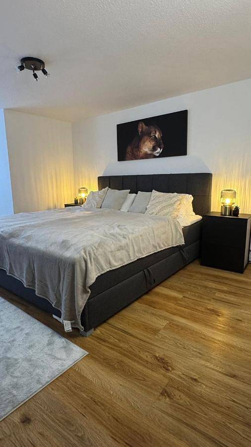 Gîte pour 4 personnes, animaux acceptés à Perleberg - 3