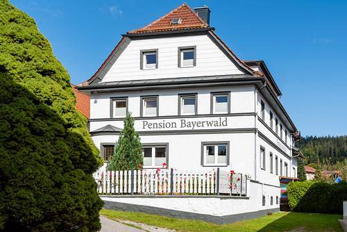 Pension Bayerwald - Einzelzimmer in Bodenmais, Ostbayern