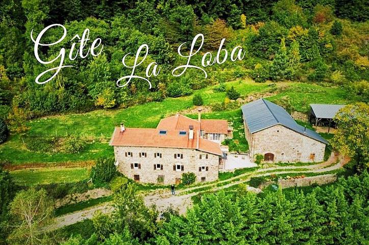 Gîte pour 18 personnes, avec terrasse et jardin, animaux acceptés