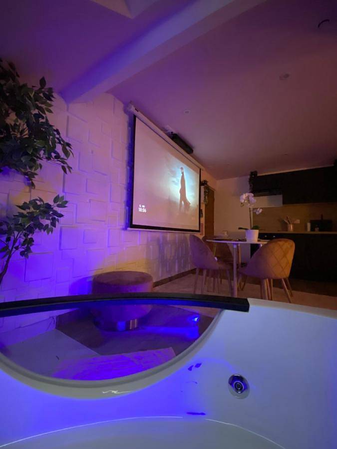 Appartement entier, Capsule color deluxe Balnéo I écran home cinéma I console de jeux in Trith-Saint-Léger, Région de Valenciennes