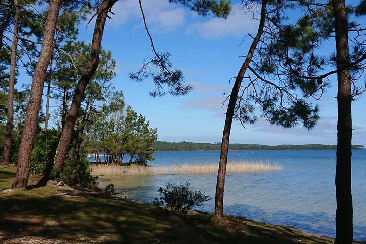 Ferienwohnung für 5 Personen, mit Garten und Terrasse sowie Whirlpool und Pool, mit Haustier in Lacanau Ocean