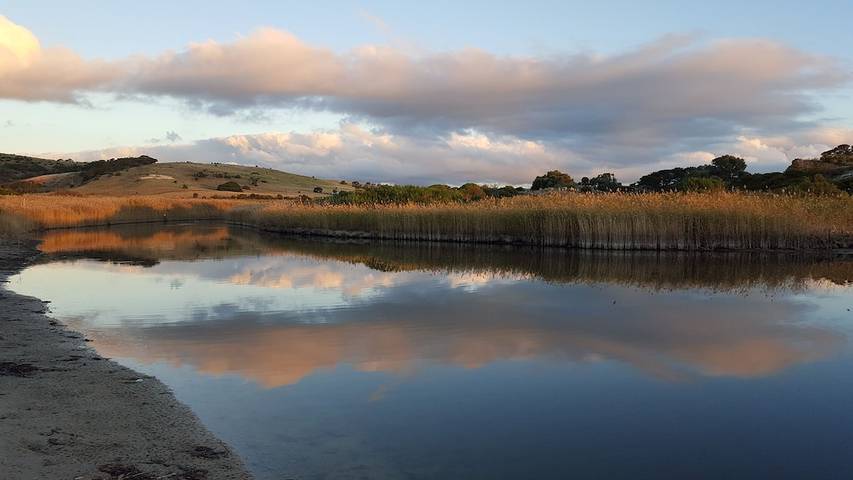 Location de vacances pour 2 personnes, avec jardin ainsi que jacuzzi et terrasse dans Australie - 3