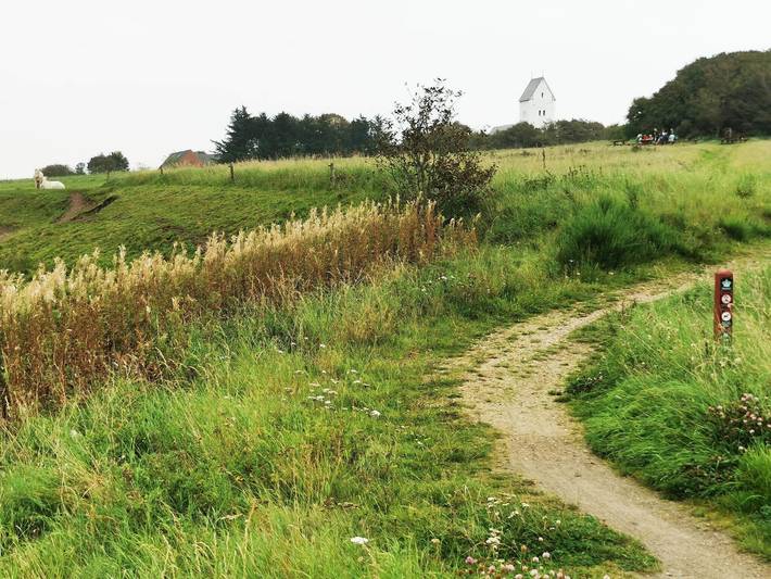 Ferienhaus für 10 Personen, mit Terrasse, kinderfreundlich in Skaven Strand - 3