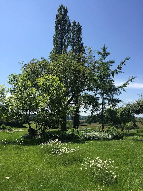 La Grange au Jardin - chambre d'hôtes - Suite + Chambre in Saint-Romain-sous-Gourdon, Chalon-sur-Saône region