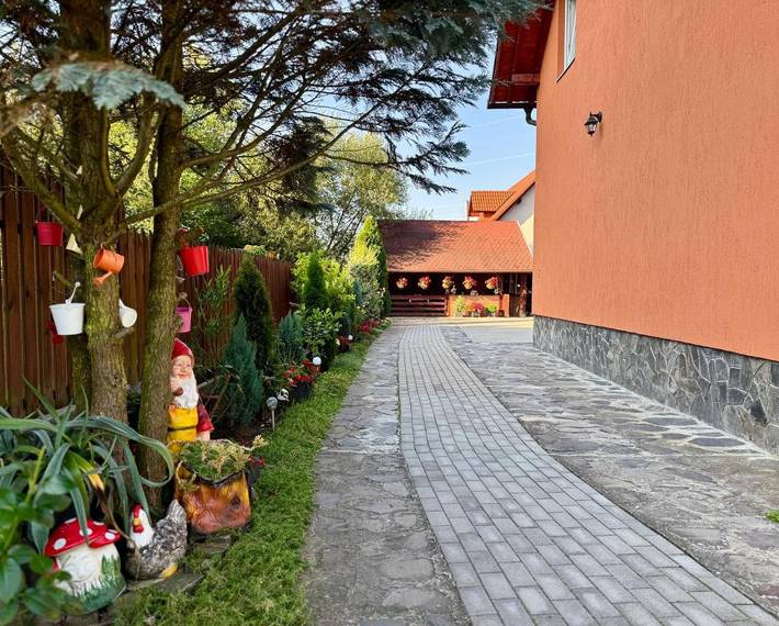 Maison d’hôte pour 4 personnes, avec terrasse dans Mureș - 3