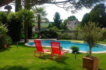 Gîte pour 5 personnes, avec jacuzzi ainsi que piscine et jardin à Theneuil