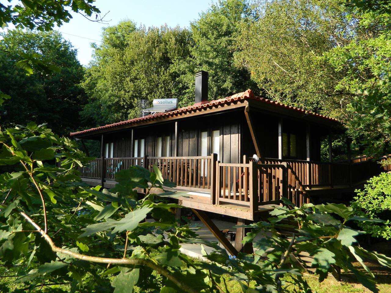 Tree Pool Villa in Gondoriz, Viana do Castelo Distrikt