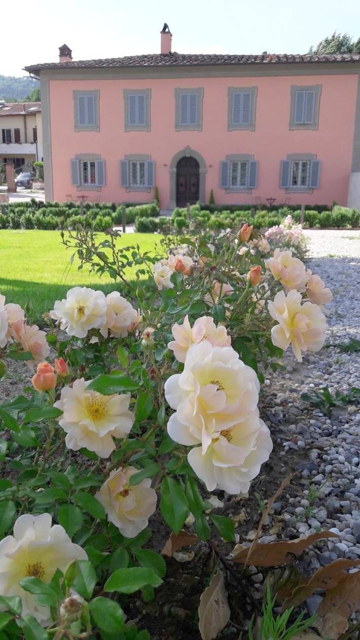 Chambre d’hôte pour 3 personnes, avec piscine et jardin à Pistoia - 3