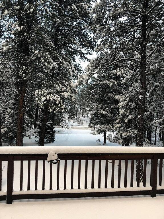 Schöne Berghütte innerhalb von 5 Minuten von allen Angel Fire Annehmlichkeiten. in Angel Fire, Colfax County