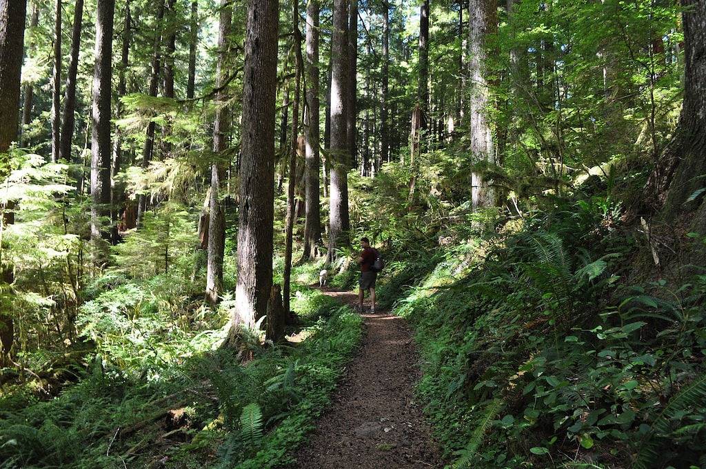 Relaxing Getaway auf Mt. Hood - direkt am Fluss in Welches, Mount Hood