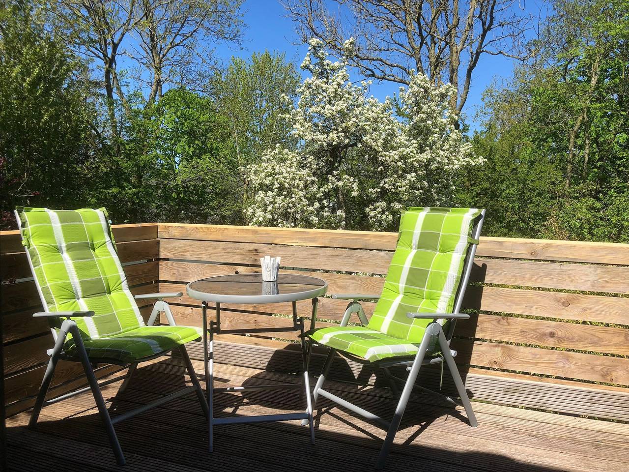 Ganzes Studio, Haus Friesenjungs in St. Peter-Ording, Eiderstedt