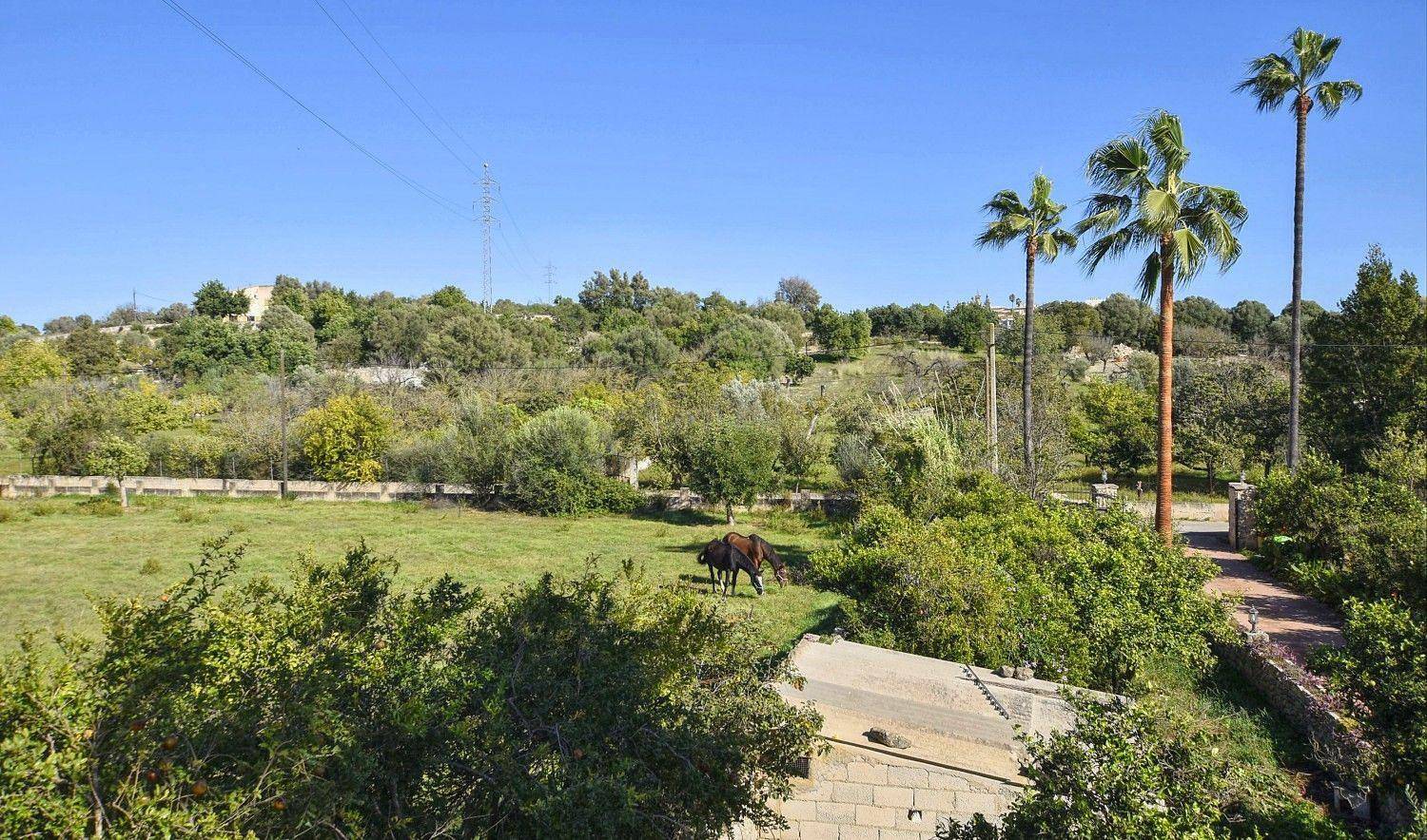 Charmantes Ferienhaus in Búger mit Privatem Pool in Búger, Mallorca Inselmitte