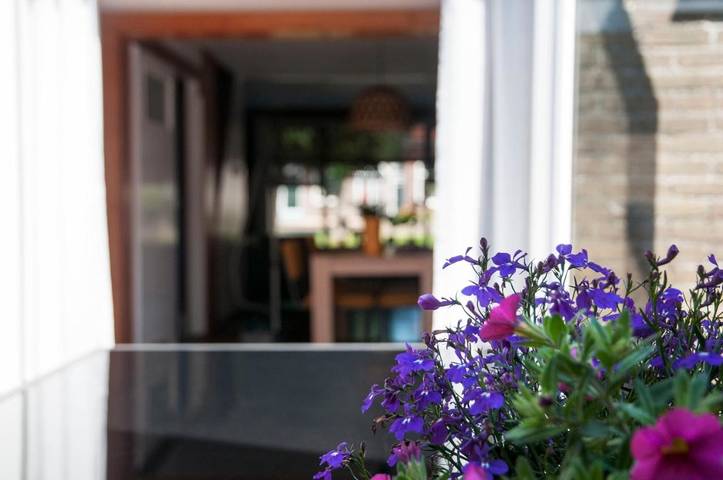 Ferienhaus für 4 Personen, mit Terrasse und Garten sowie Seeblick und Ausblick in Stavoren - 2