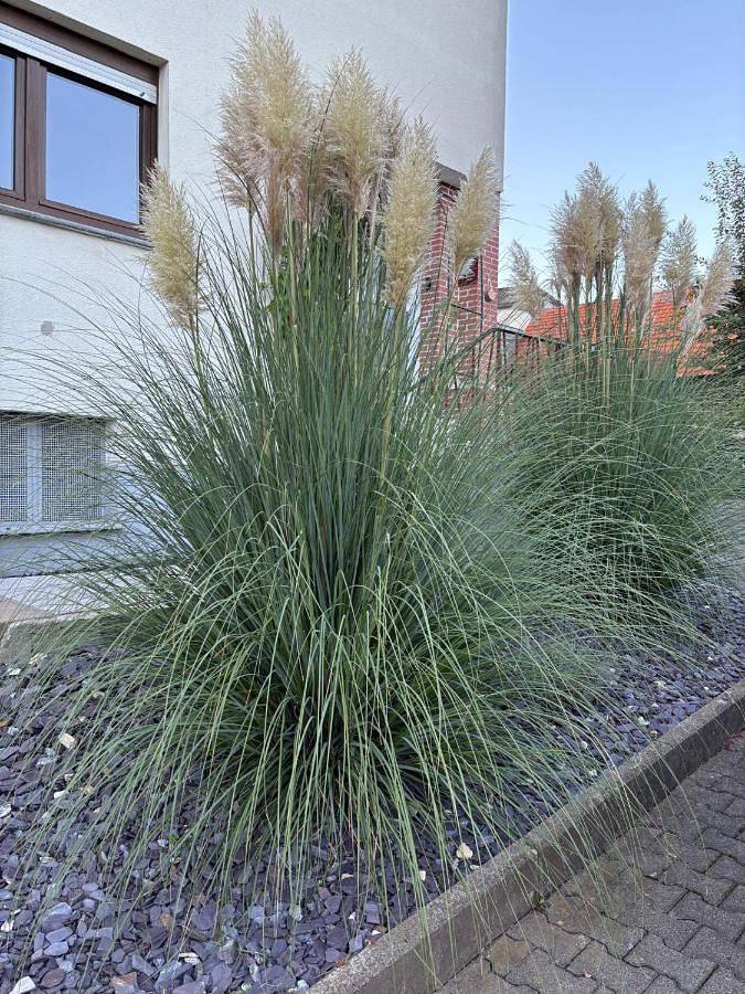 Ferienwohnung für 4 Personen, mit Garten