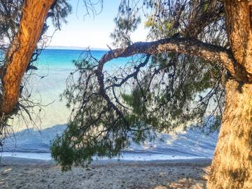 Apartment for 10 People in Sithonia Peninsula, Halkidiki, Photo 3