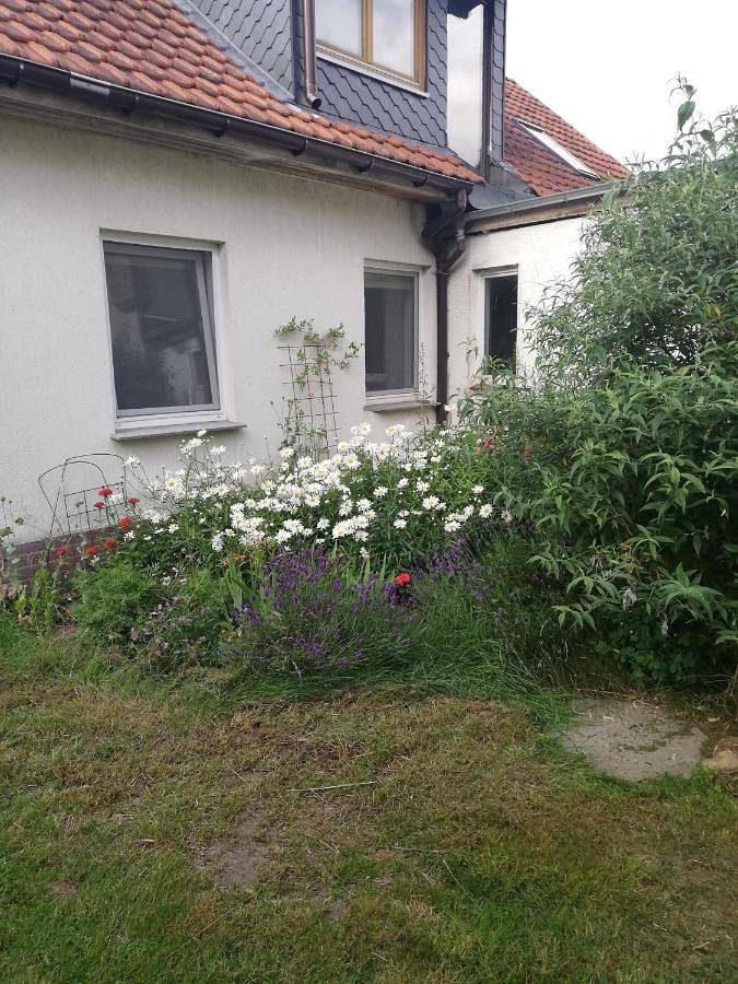 Ferienwohnung für 4 Personen, mit Terrasse und Garten in Wittenburg - 4