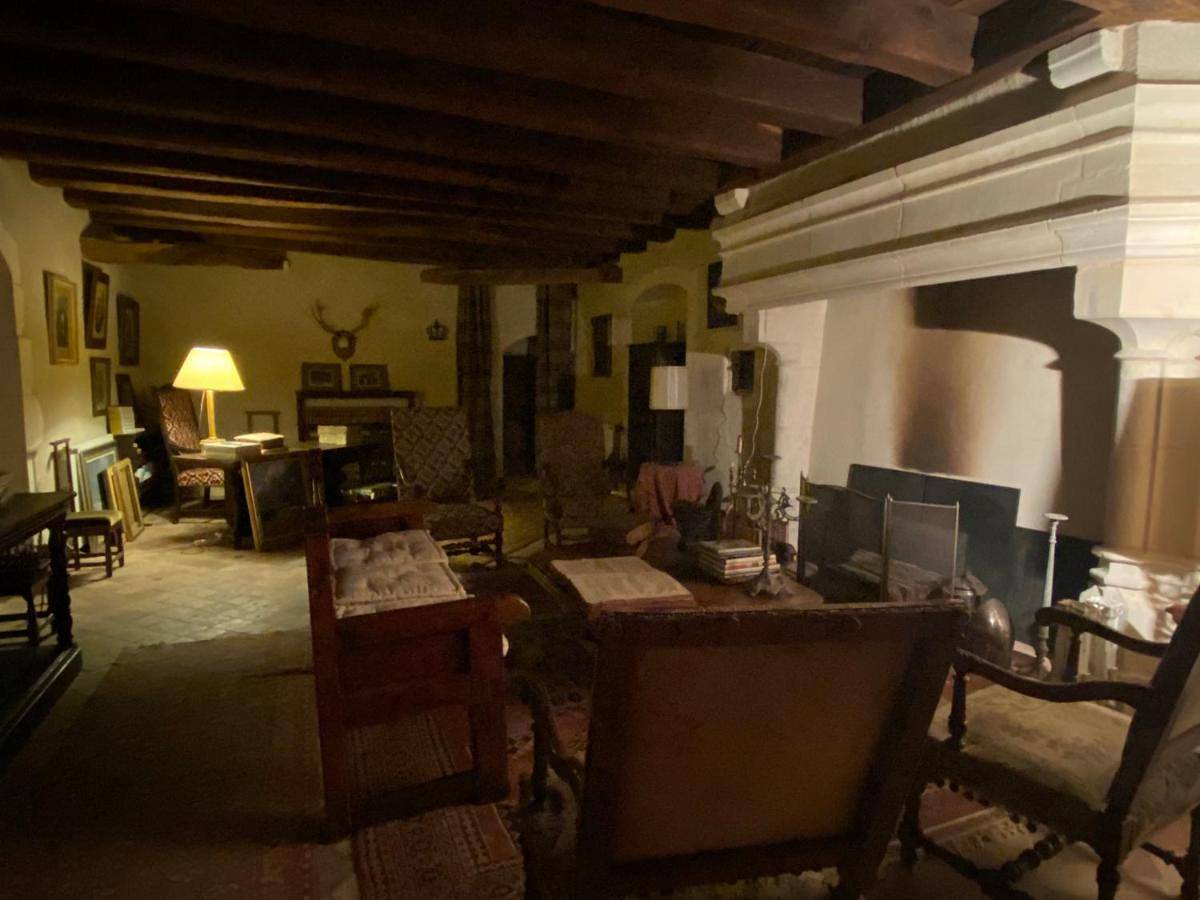 Chateau d'Ingrandes in Ingrandes, Région de Le Blanc